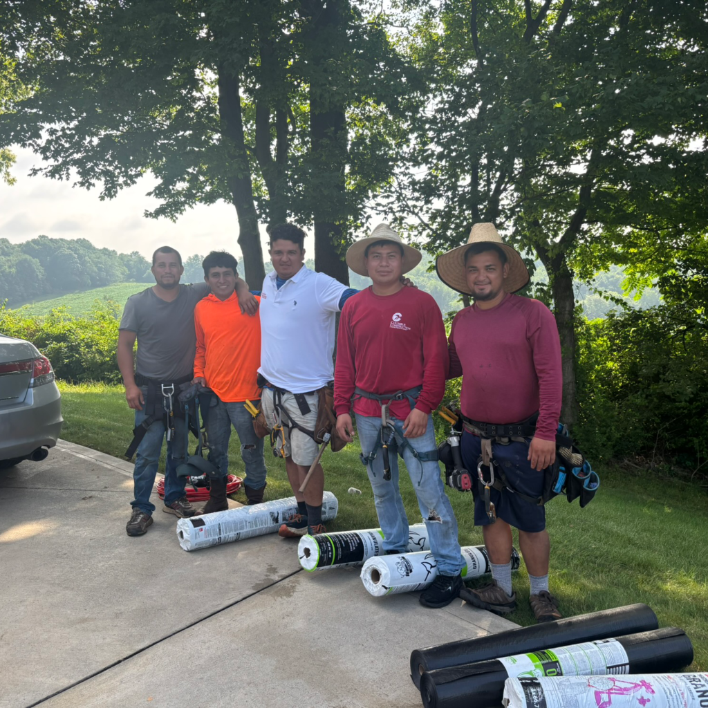 HOME Hello from our Team